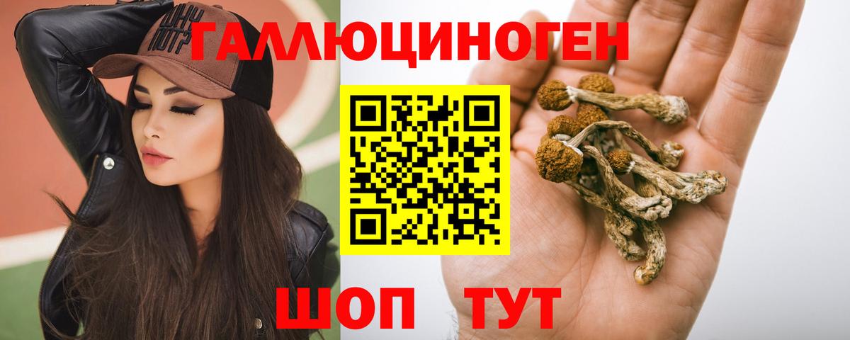 Псилоцибиновые грибы MAGIC MUSHROOMS Дальнереченск